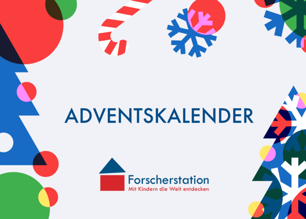 Adventskalender 2024 und Webcast: Kerzenschein und Winterwald - Vorfreude und Forschen im Advent