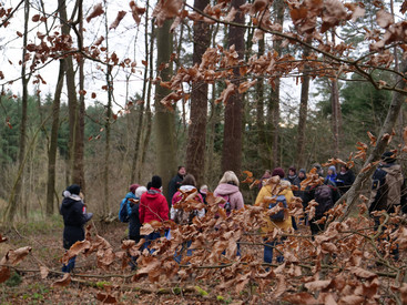 Mit Kindern sicher im Wald unterwegs: Landesforsten und Unfallkasse Rheinland-Pfalz bieten gemeinsame Seminare an