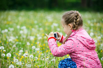 Mädchen fotografiert mit einer Digitalkamera Löwenzahn und Pusteblumen auf einer Wiese.